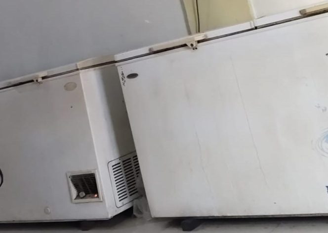 Dugaan Penjualan Makanan Beku Tanpa Izin di Toko Tina Karimun