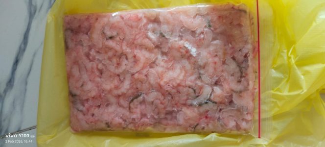 Toko Di Jalan Nusantara Karimun Diduga Jual Makanan Beku Ilegal