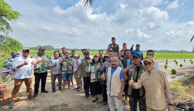 Tani Merdeka Sumut Gelar GERTAM Padi Semi Organik